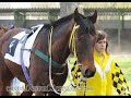 Aircraft (GER).wmv