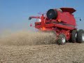 cutting soybeans with a 2388 and a 25' 1020 flex head.