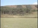 SAINZ-MOYA RALLY GRAN BRETAÑA 1998