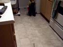 great idea to let jody do the hard work! next we teach him how to change his own diaper and cook his own dinner...