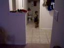 great idea to let jody do the hard work! next we teach him how to change his own diaper and cook his own dinner...