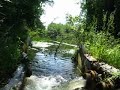 Discharge point in Honey Creek Tributary where Pall-Gelman dumps the partially treated purgewater from its dioxane cleanup. The initial discharge in 1997 was up to 300 gallons per minute, then that was increased to 800 gpm, and later increased to the current 1200 gpm. This has resulted in constant high water in the tributary near the discharge point and in the adjacent wetland. The wetland has turned into a pond killing much of the original wetland vegetation. Some of the high water backs up to the highly contaminated Marshy Area where some of the dioxane there is likely leaching down to groundwater aquifers... unmonitored and untreated.