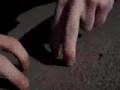 videos de BugFight