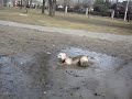 Moses Mud Bath 1