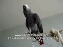 LA VERITE SORT DE LA BOUCHE D\