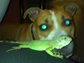Keily & Maryguana (RIP)