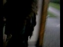 SV_A0067.mp4