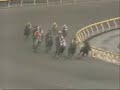 O que deram pra esse cavalo comer? O que deram pra esse cavalo comer?