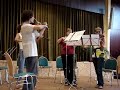 euyo summer tour 2007 viola quartet