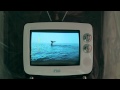 YB - 흰수염고래 MV (Blue Whale)