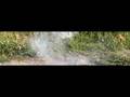 YouTube - Grep