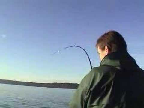Chinook Salmon fishing on Puget Sound