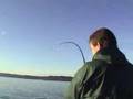 Chinook Salmon fishing on Puget Sound