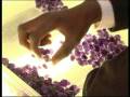 Gecko Jewellers on KykNet DSTV (Afrikaans & English)