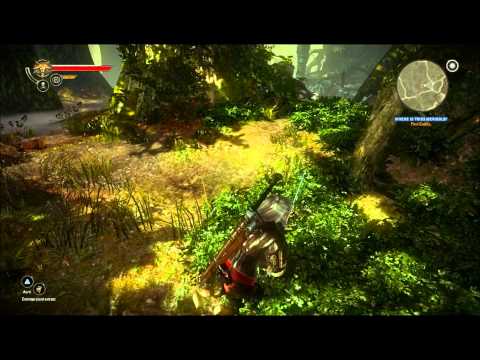 how to meditate in witcher 2
