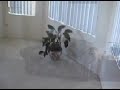 Real Estate-Home for Sale-Wildomar, CA-can't flip this house