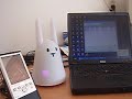 My WIFI Bunny