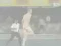 Cricket ist nicht langweilig bodycheck gegen flitzer