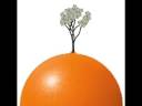 ING DIRECT Savings Account Money Grows on Trees ING DIRECT Savings Account Money Grows on Trees