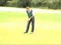 The Best Yips in the World
