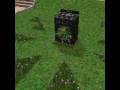 MY VEGETERIAN SIM IS CRAZY!!!!