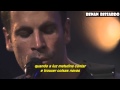 Jack Johnson - Better Together (Tradução)