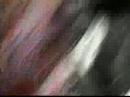 Platero y Tu - Hay Poco Rock N\ Platero y Tu - Hay Poco Rock N\