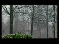 videos de Kerst 2008