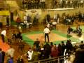 Campionato Regionale Lazio light contact peso 60/65 Kg del 22/11/2009 3° posto 1 parte 3 fight.