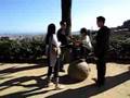 How many sternies does it take to climb a rock?