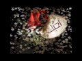 حبي ليك