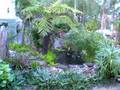videos de Peace in Upwey 4 Aug. 2008 Morningsong