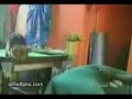 perros graciosos