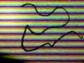 Whiteboard