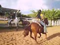 Potra Guayanesa