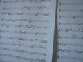 Pio Rodrigues Harlen Nocturne