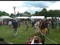 Marshfield Pow Wow 2008 Intertribal