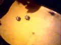 controlled dice shots