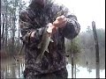 Seven Pound Bass on a Buzzbait. Topwater Largemouth Bass Fishing.