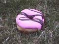 DONUT LOG ROLL
