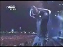 7 words live