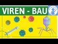 View 24 Virus Aufbau Beschriftung