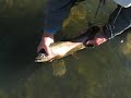 San Juan 20\" Trout San Juan 20\" Trout