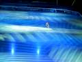 Gran Galà di Pattinaggio 2008 - Carolina Kostner