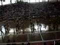 Tarlac State University  Cheering Squad Competition 2008