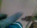 coetes del año nuevo 2009 - Ay no miro mas  mi papa tira un coete