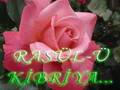 ABDURRAHMAN �N�L HALKAYI Z�K�R