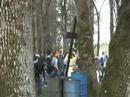 Mt. Angel World Youth Day Pilgrimage