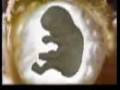 videos de 9 MESES EN 72 SEGUNDOS