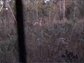 Hunter\ Hunter\